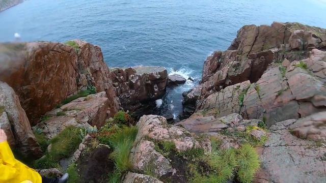 Птичий базар. Териберка смотреть онлайн