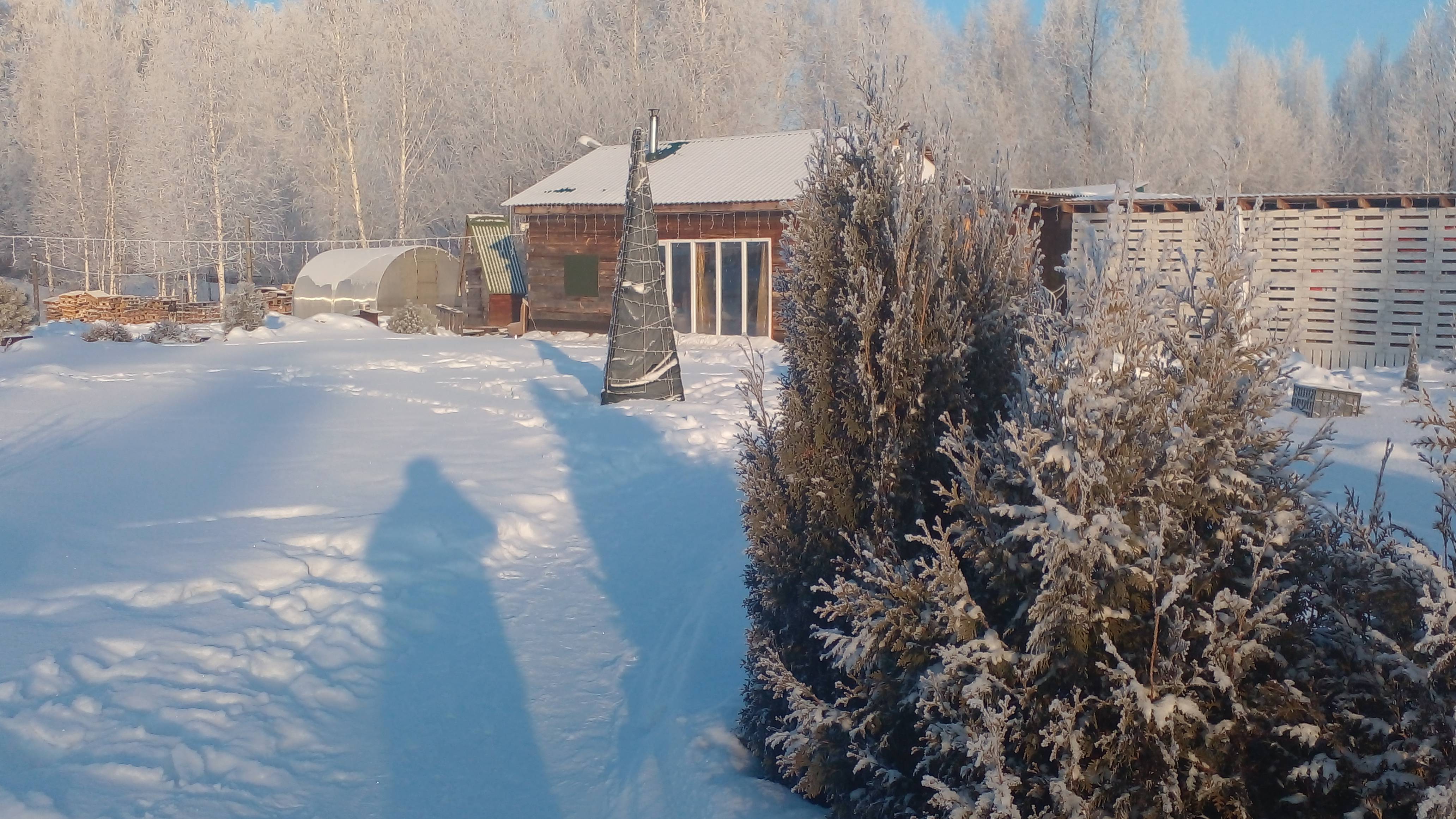 #40 Прогулка в морозный день, по участку/ В птичнике, у куриц/ Шашлычок