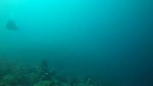 Padre ultraman Edison Alexander Serna смотреть онлайн