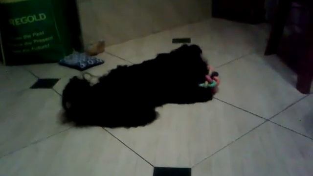 Play time смотреть онлайн