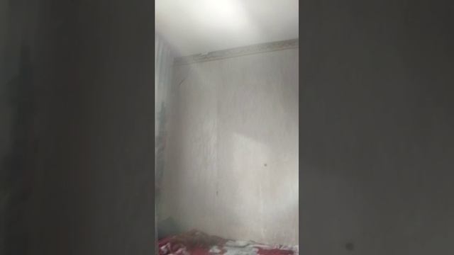 бандитка смотреть онлайн