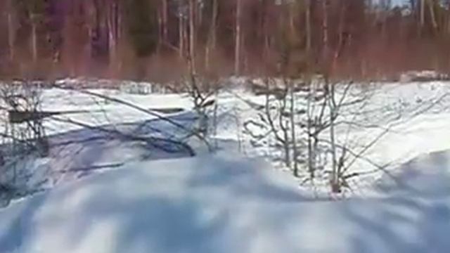 P3313780.AVI смотреть онлайн