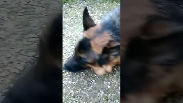 Норма смотреть онлайн