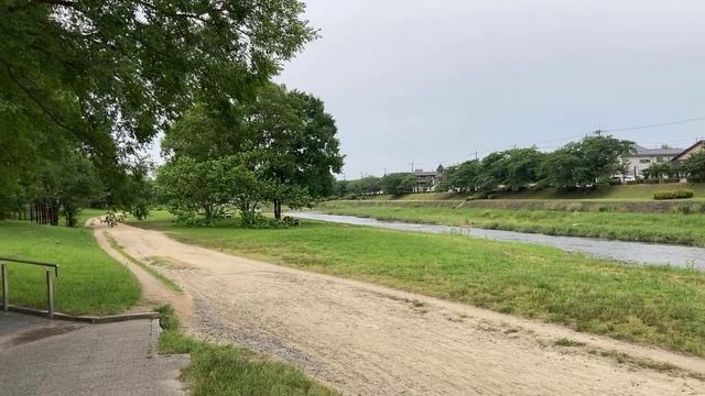 バースデーカードをポストに投函します。 смотреть онлайн