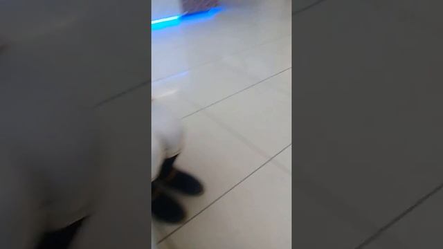 Гуляем по комсомоллу/АДЕЛЯ КУПИЛА ХОМЯКА?!🐾🐹/ (NASTYA SHOW) смотреть онлайн