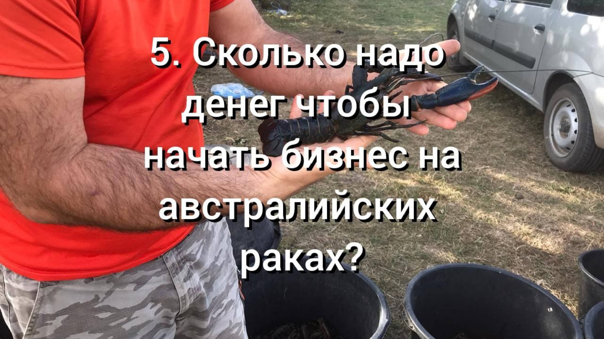 5. Сколько надо денег чтобы начать бизнес на Австралийских раках? смотреть онлайн