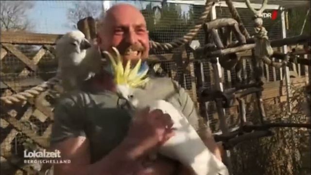 Kakadu Jerusalema Dance смотреть онлайн