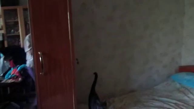 кошка Мышка и последние минуты шарика смотреть онлайн