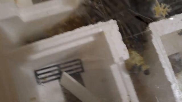 пчёлы в квартире часть 1 10 декабря 2023 смотреть онлайн