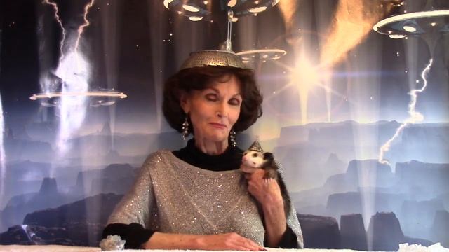 Proper Possum Pig Appreciation смотреть онлайн