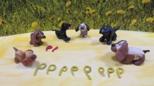 Азбука умной собачки  Сони