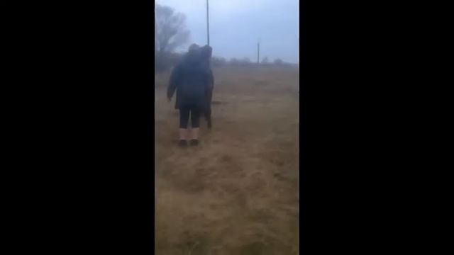 жеребец по имени Орлик смотреть онлайн