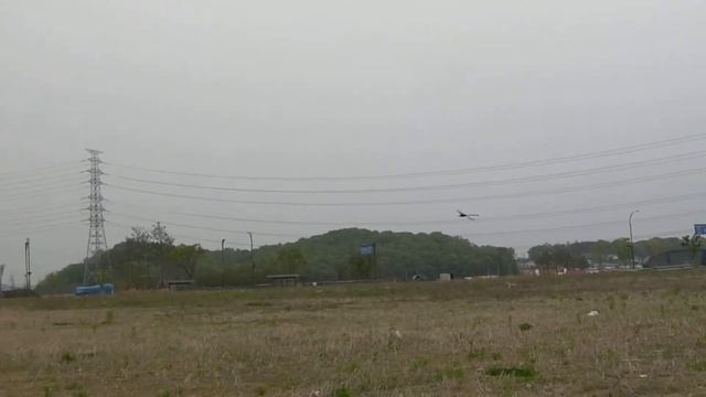 Min-Chan, Kim Mikado Logo 600 3D Test Flight смотреть онлайн