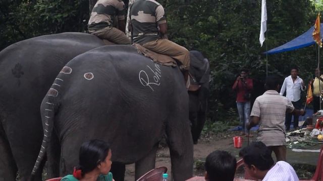 CHILAPATA FOREST - A DOCUMENTARY || DUARS || WEST BENGAL TOURISM ||