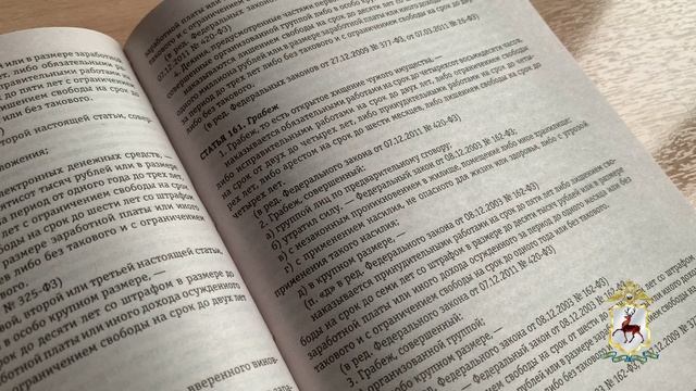 В Нижнем Новгороде полицейские задержали двух мужчин, причастных к ограблению студента смотреть онлайн