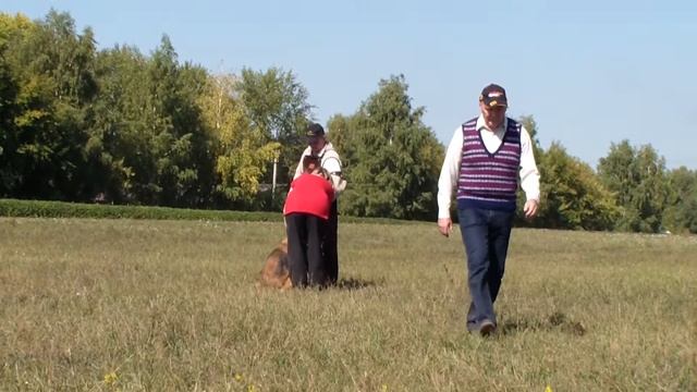 55 РАЙХЕН смотреть онлайн