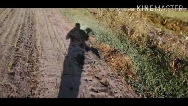 Охота на утку с подхода(2020) смотреть онлайн