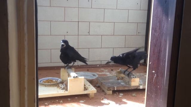 IMG 0519 смотреть онлайн