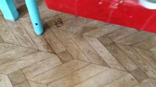 Живой уголок:) смотреть онлайн