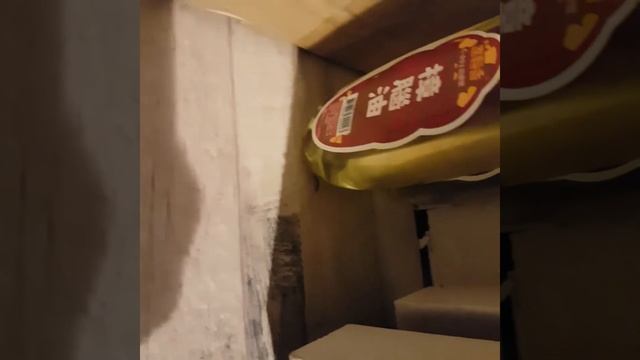 跑很快的衣魚 久了就不怕牠了。。。但它是害蟲 смотреть онлайн