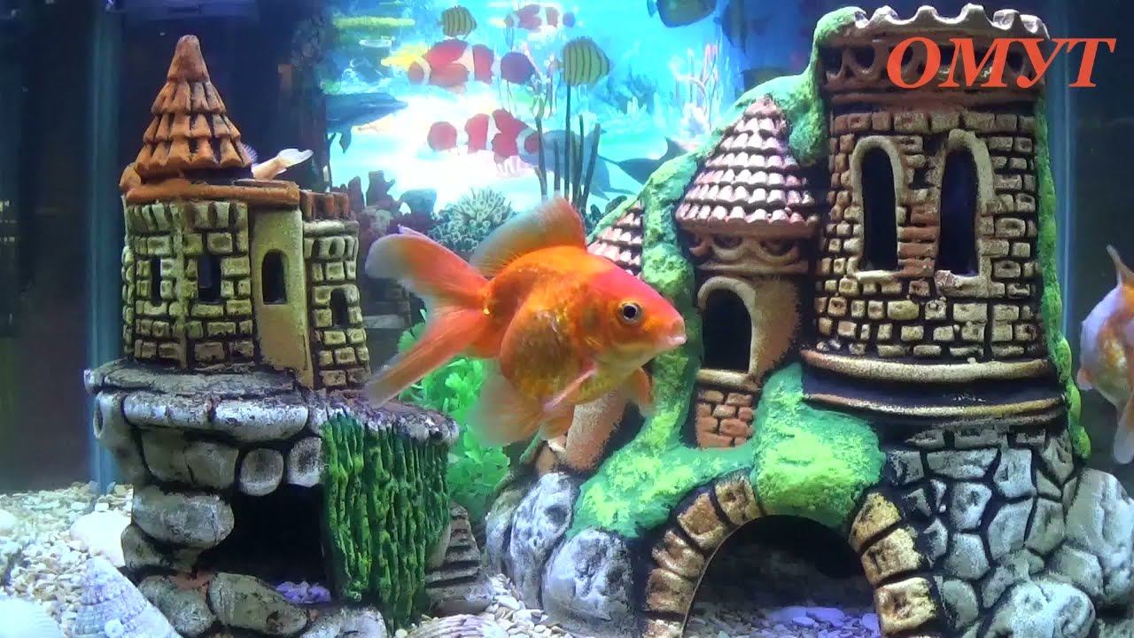 368. МАЛЕНЬКИЕ ИМЕНИНЫ И НЕ ВСЁ ТАК ПРОСТО... смотреть онлайн