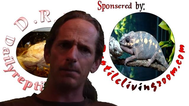 Reptile News: 1/3 increase in Alligator hunting applications. смотреть онлайн