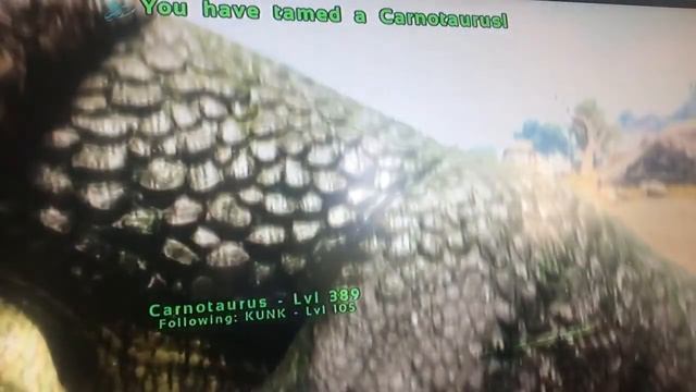Ark pvp ep 4 carnotaurus смотреть онлайн