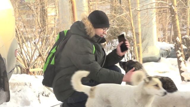 Прокуратура начала проверку по факту нападения на ребенка смотреть онлайн