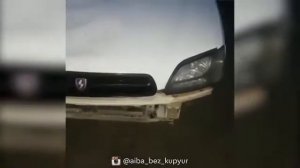 WhatsApp встреча с медведем 😱😆