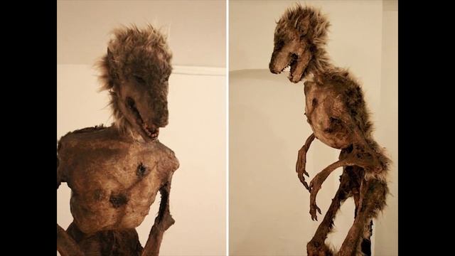 10 МУМИФИЦИРОВАННЫХ ТЕЛ НЕВИДАННЫХ СУЩЕСТВ смотреть онлайн