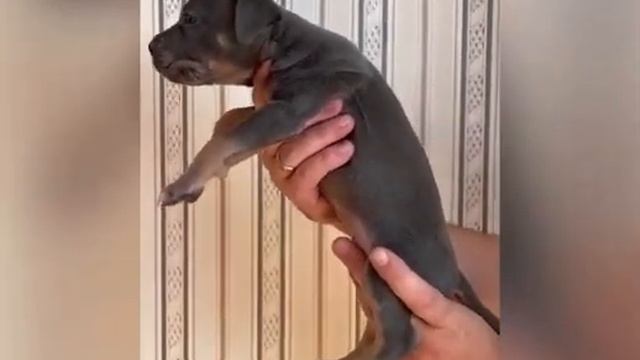 29 сентября 2023 г. смотреть онлайн