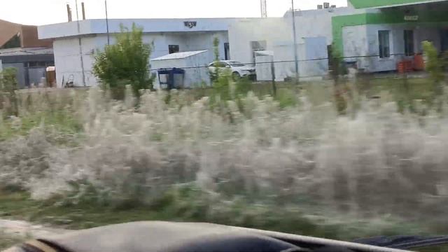 атака пауков смотреть онлайн