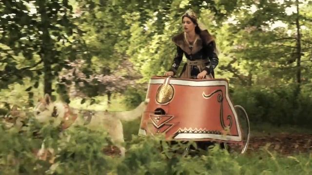 Meet the animals - The Wolves - Les Amis d'Onno смотреть онлайн