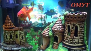 221. ГОТОВИМСЯ К ПОЛНОЛУНИЮ ДРУЗЬЯ...