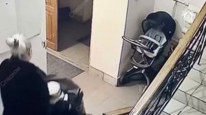 Внучке убитого экс-главы Самары Тархова предъявили обвинение