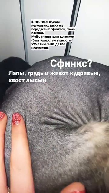 Сфинкс с улицы смотреть онлайн