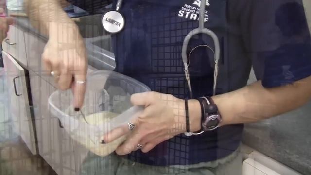 A Tour of Pelican Harbor Seabird Station смотреть онлайн