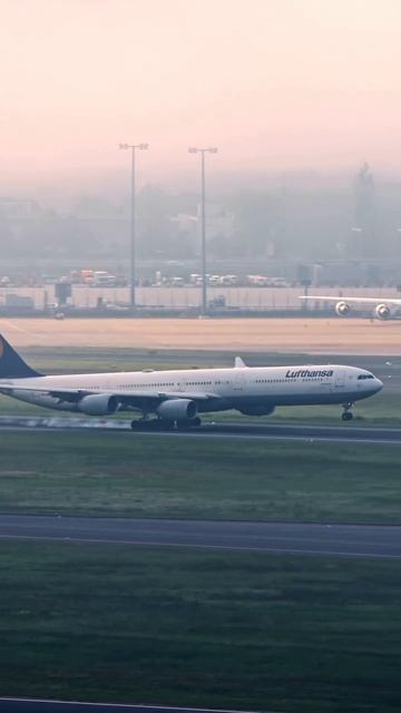 20.mp4 смотреть онлайн