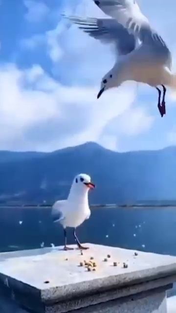 6 August 2024 смотреть онлайн