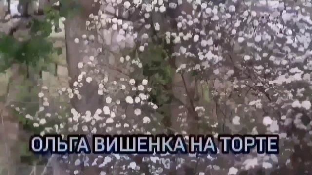 ОБОС@@АЛАСЬ ОТ СЧАСТЬЯ. ИННА СУДАКОВА ОБЗОР ВЛОГА. смотреть онлайн