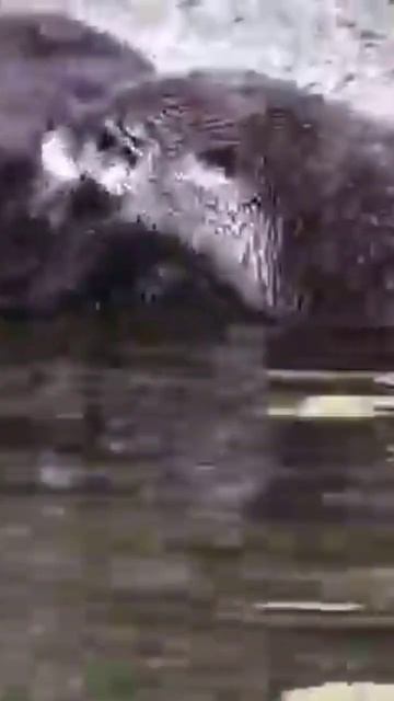 March 17, 2023 смотреть онлайн