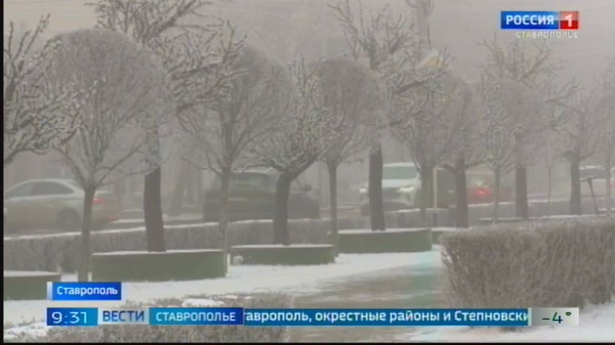 Погода на Ставрополье будет морозной и ветреной смотреть онлайн