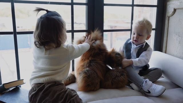 Кот игрушка из натурального меха лисы - дети влюбились с первого прикосновения смотреть онлайн