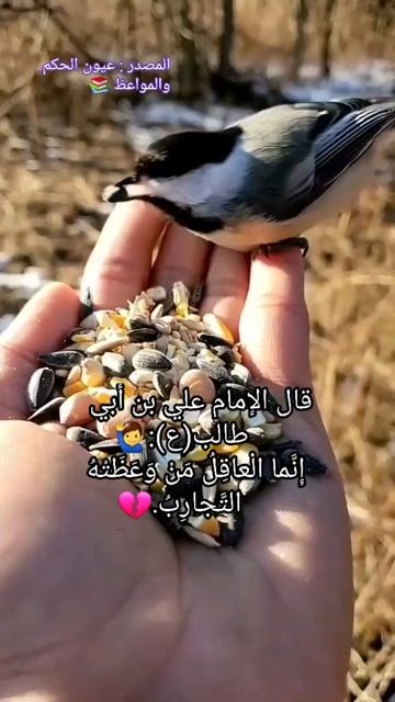 ٩ يونيو ٢٠٢٢ смотреть онлайн