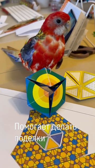 Что любит Шустрик? смотреть онлайн