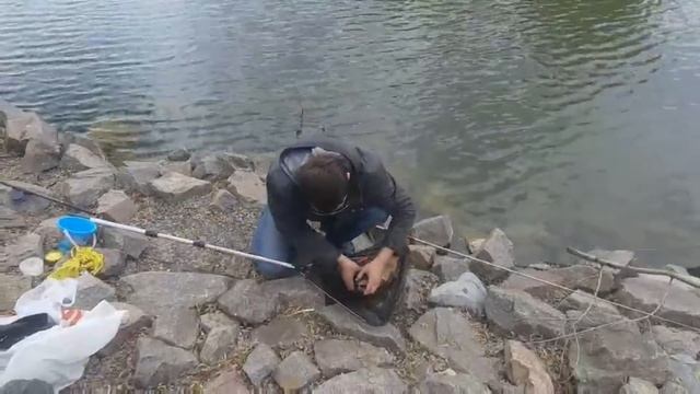 Карп 4 кг Відкриття сезону 2022. Catching carp for 4 kilograms смотреть онлайн