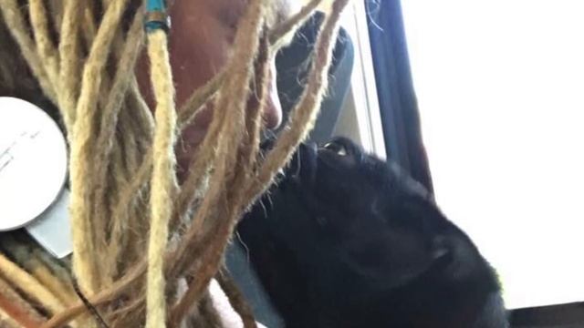 castles- Freya Ridings acoustic cover смотреть онлайн