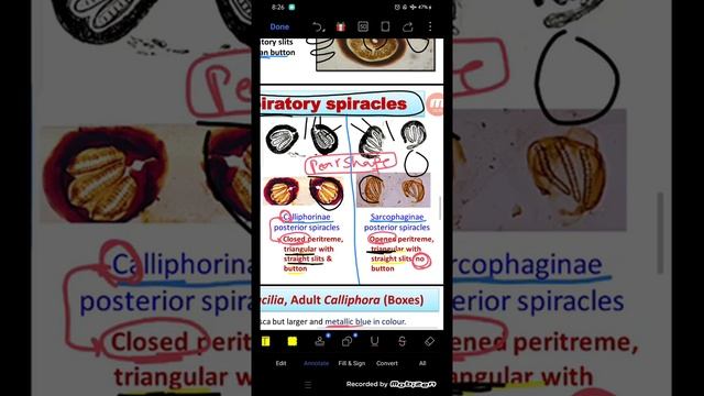 عملي para infection смотреть онлайн