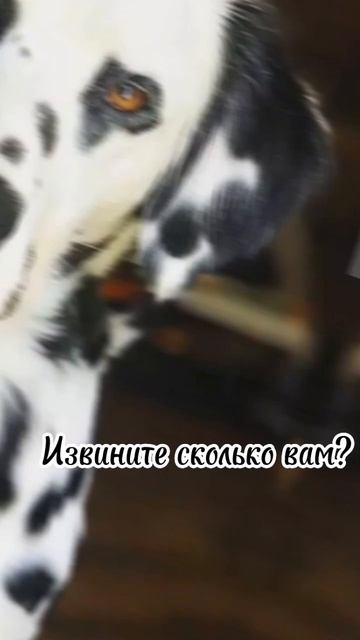 30 мая 2023 г. смотреть онлайн