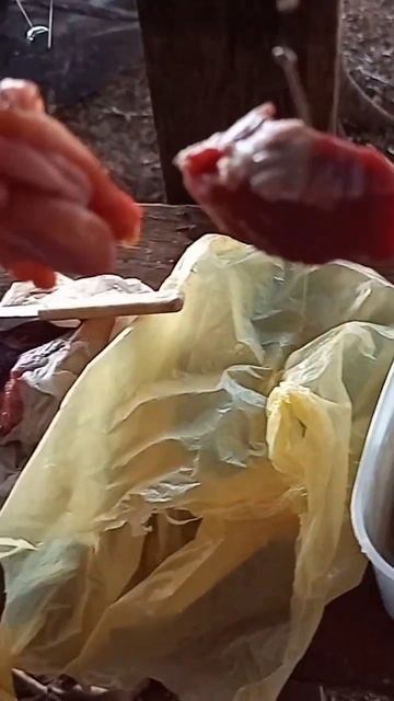 com a água fria vale tudo para tentar fisgar os brutos. смотреть онлайн